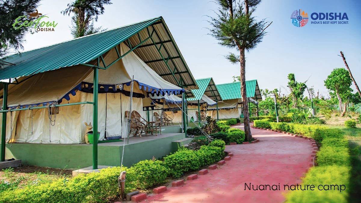 nuanai-nature-camp-eco-tour-odisha-tourism