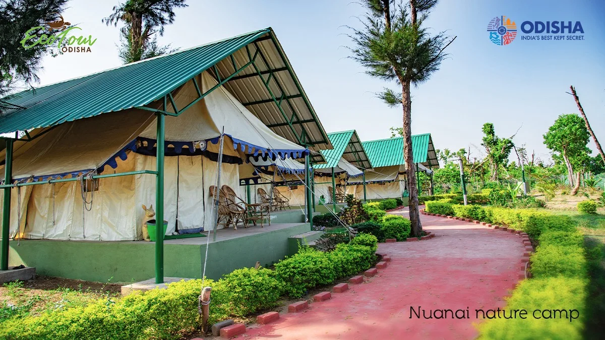 nuanai-nature-camp-eco-tour-odisha-tourism