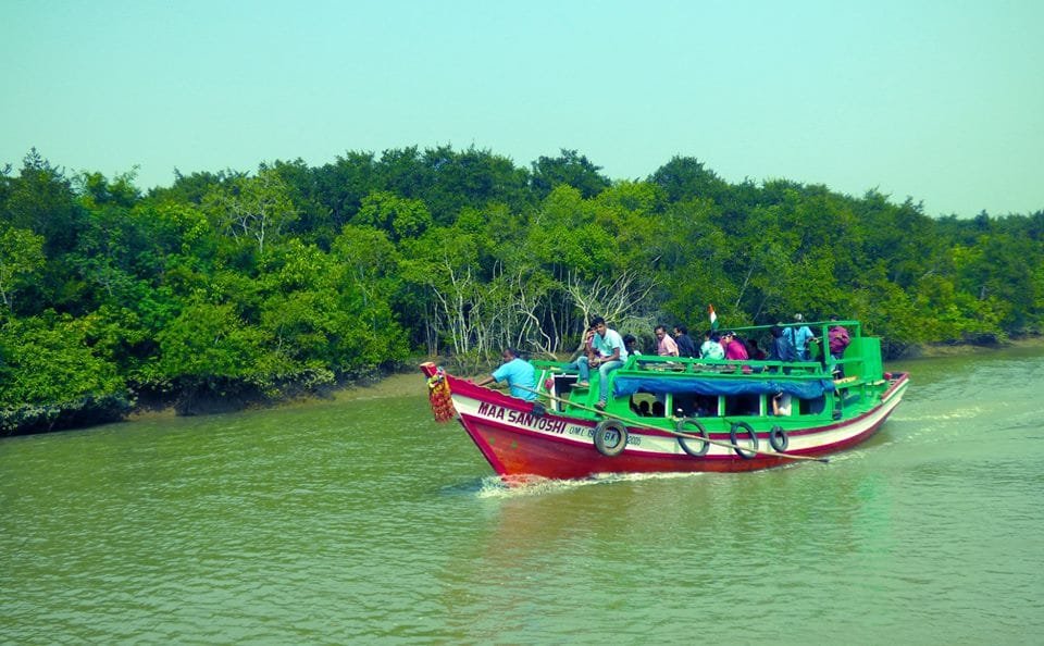 Bhitarkanika Boating Tour