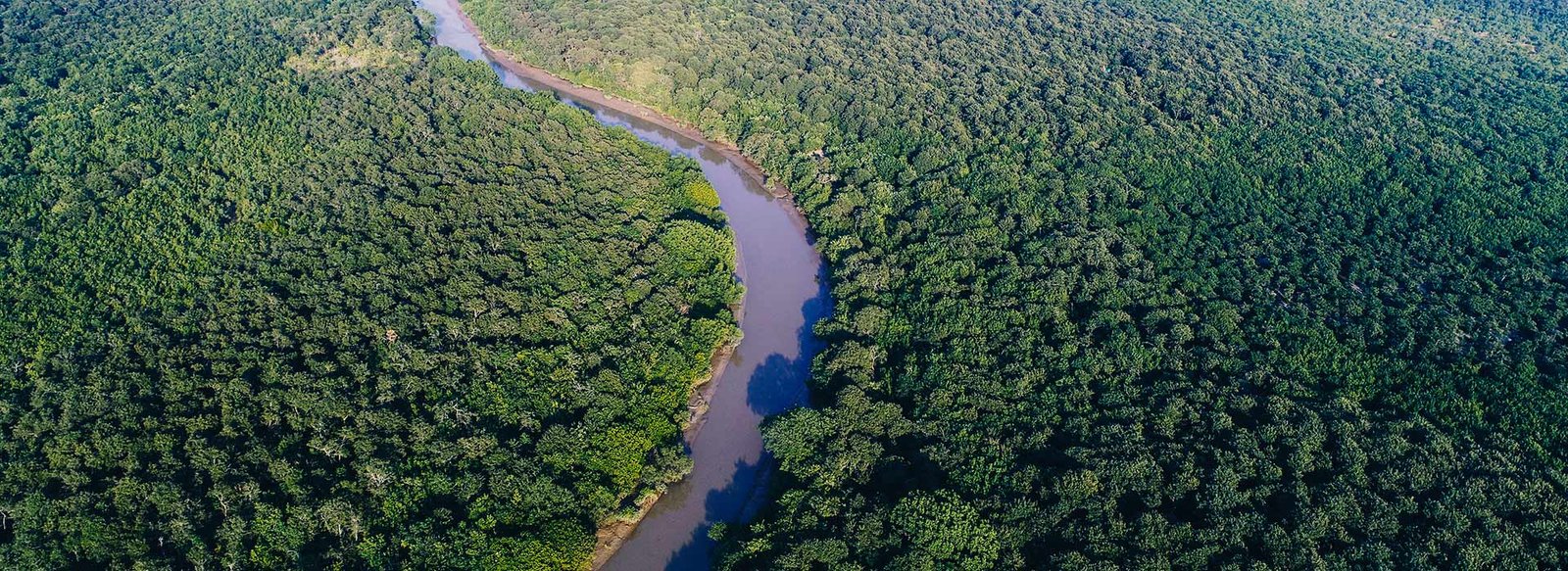 Bhitarkanika Mangrove Forest Tour