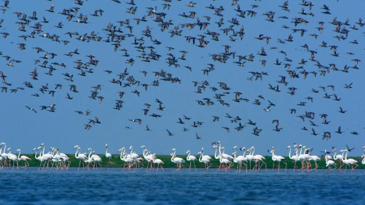 4N Puri Konark Chilika Full Package