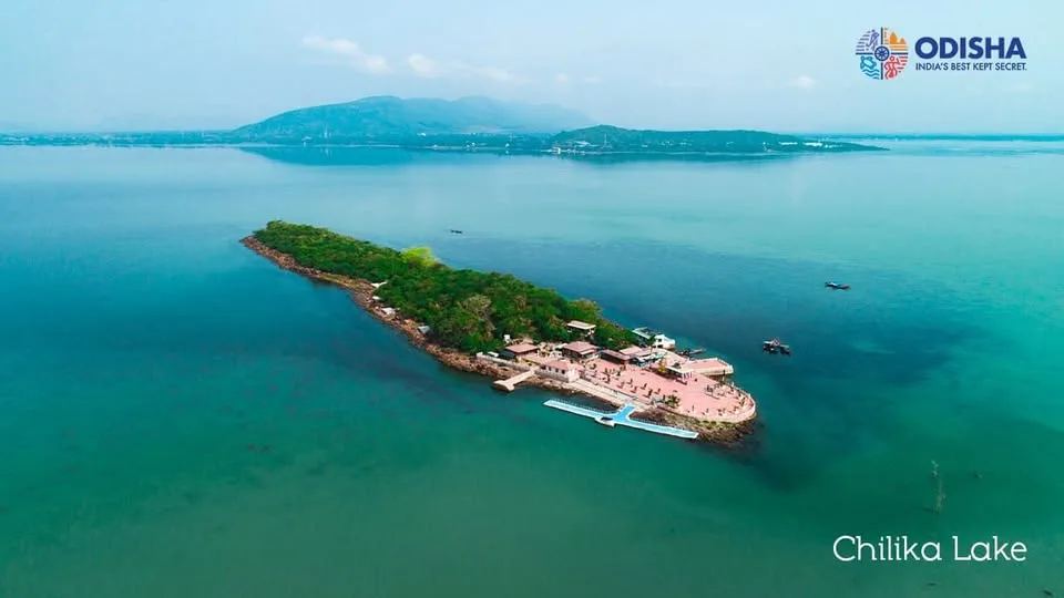 Chilika Lake Dolphin Tour Odisha