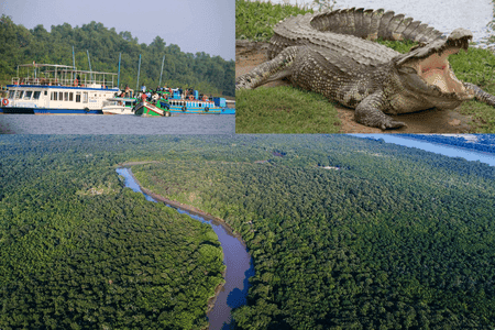 from Bhubaneswar | Best 15 Odisha Trips 10 Bhitarkanika Wildlife Tour