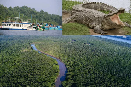 from Bhubaneswar | Best 15 Odisha Trips 12 Bhitarkanika Wildlife Tour