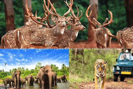from Bhubaneswar | Best 15 Odisha Trips 14 Odisha Wildlife Adventure Tour