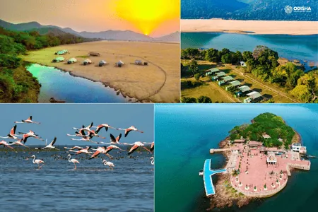 from Bhubaneswar | Best 15 Odisha Trips 16 Weekend Odisha Tour