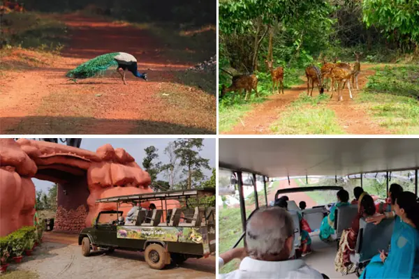 Chandaka Dampara Wildlife Sanctuary